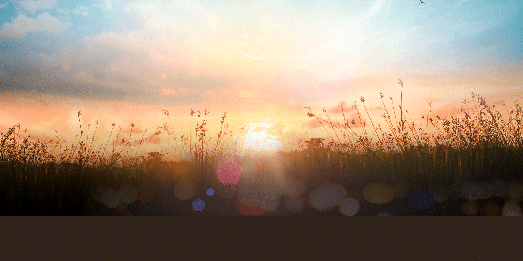 Arise shine, for your light has come