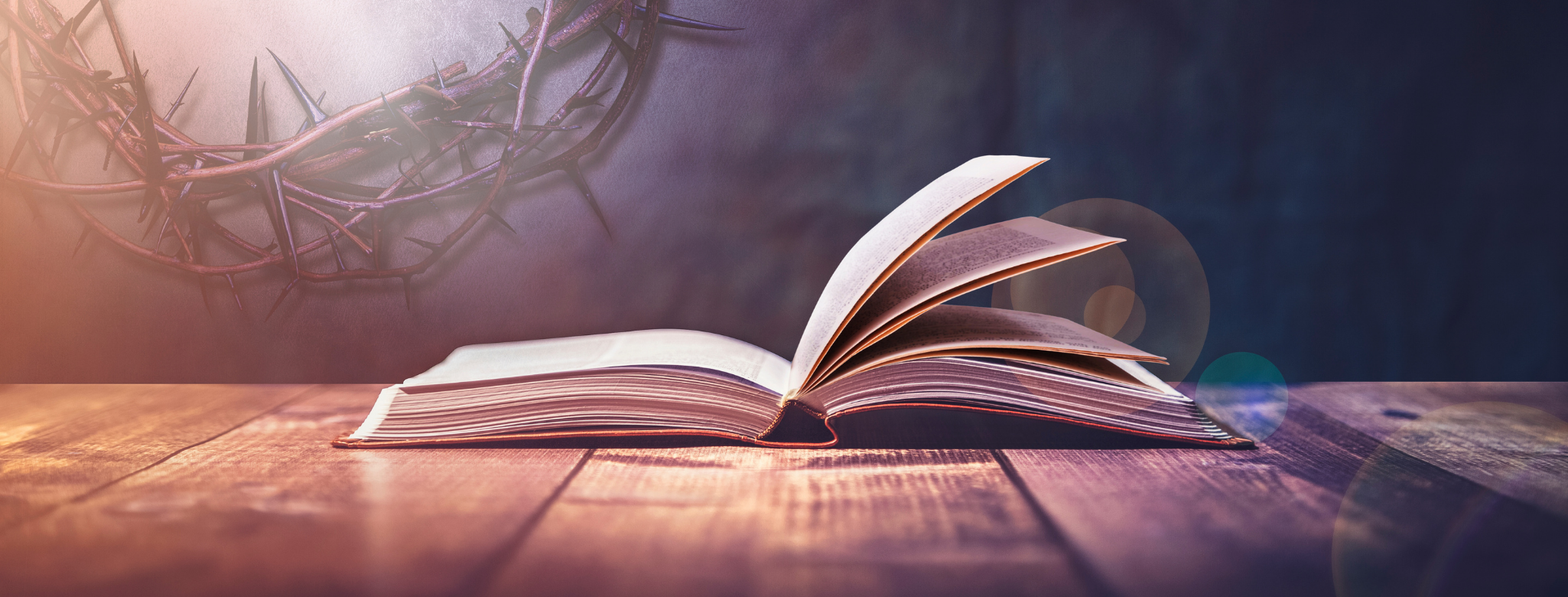 What does the Bible say about violence in relationships?