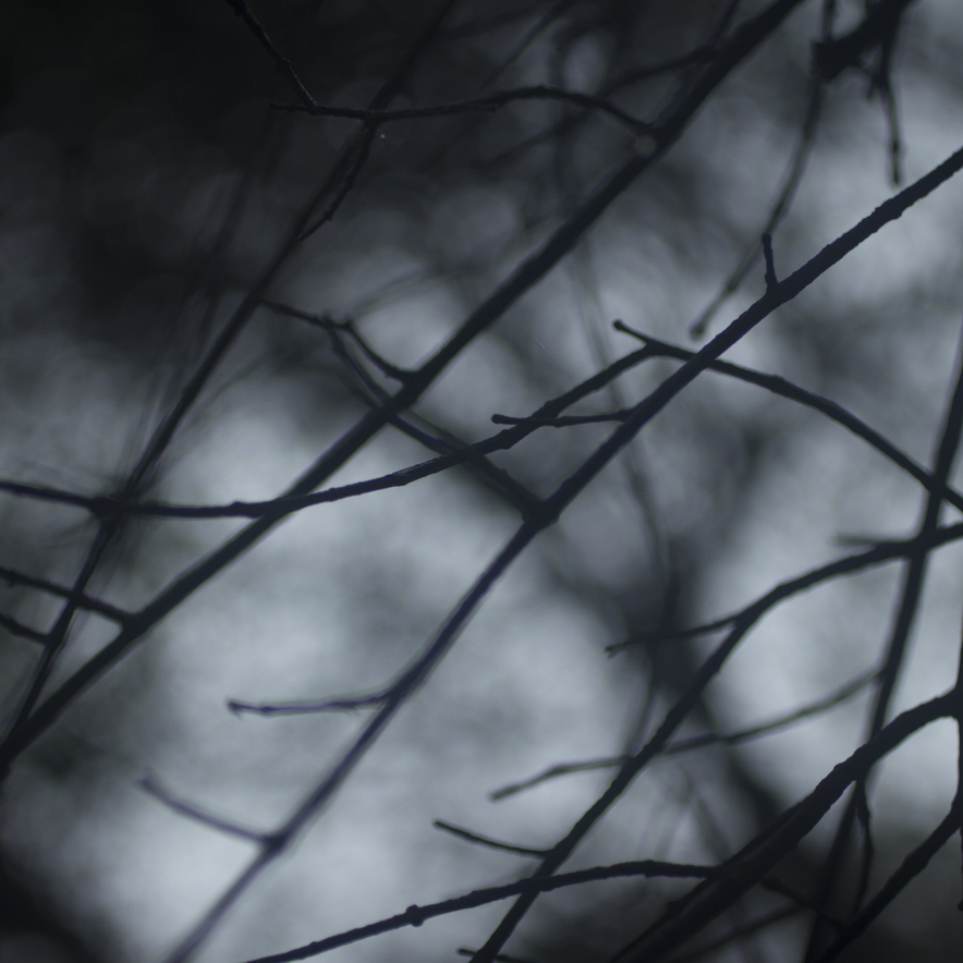 Ten traits that characterise the abusive mentality